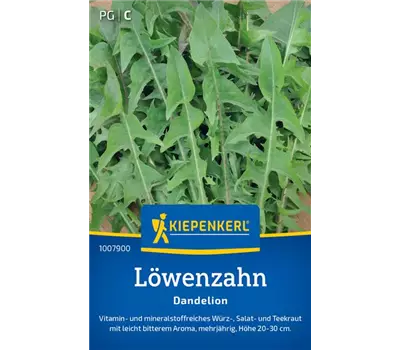 Löwenzahn mehrjährig