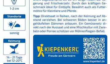 Bildvorschau