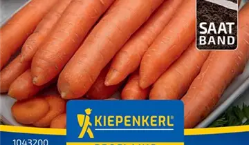 Bildvorschau