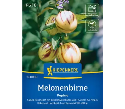 Pepino Melonenbirne