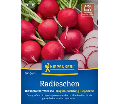 Radieschen Riesenbutter/Vitessa