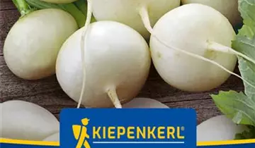 Bildvorschau