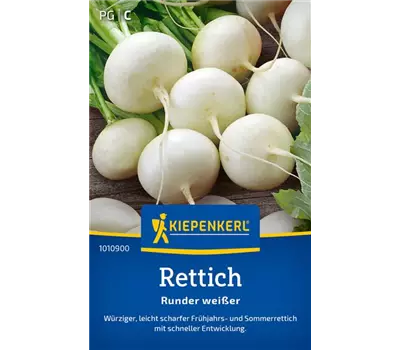 Rettich Runder weißer