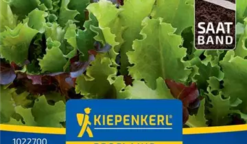 Bildvorschau