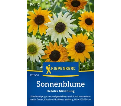 Sonnenblume Debilis Mischung