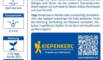Bildvorschau