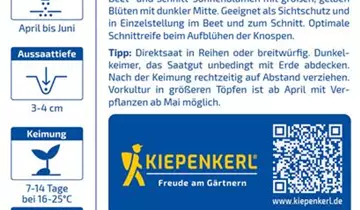 Bildvorschau