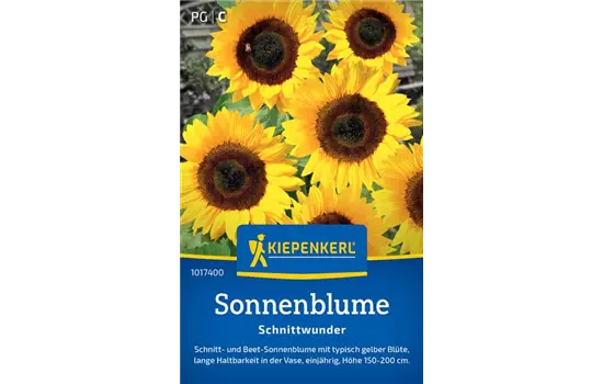 Sonnenblume Schnittwunder