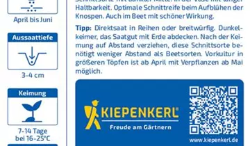 Bildvorschau