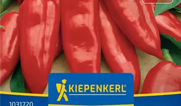 Bildvorschau
