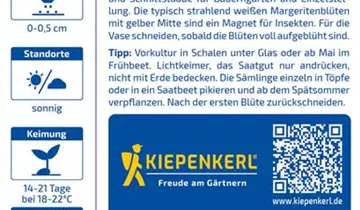 Bildvorschau