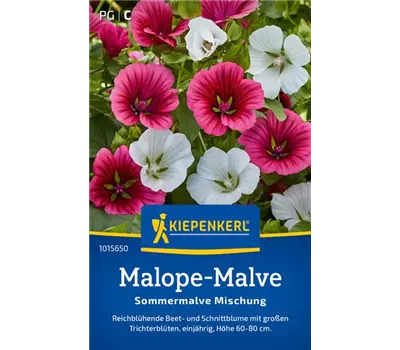 Malope-Malve Sommermalve Mischung