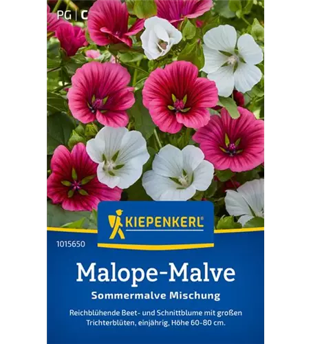 Malope-Malve Sommermalve Mischung