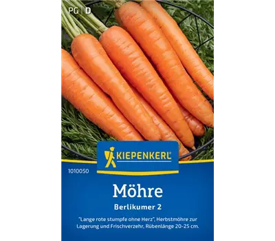 Möhre Berlikumer 2