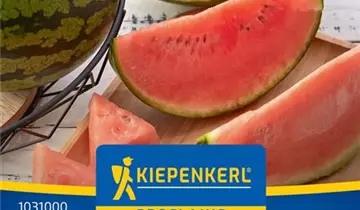 Bildvorschau