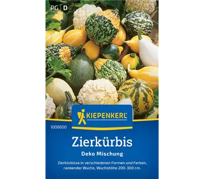 Zierkürbis Deko Mischung