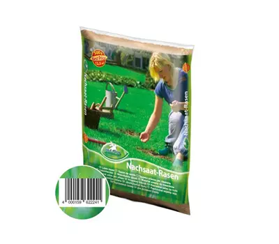 Rasensamen Pegasus Nachsaat-Rasen