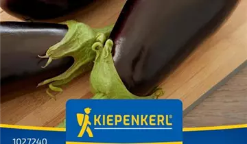 Bildvorschau