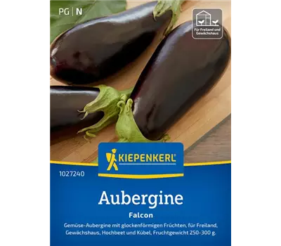 Aubergine Falcon F1
