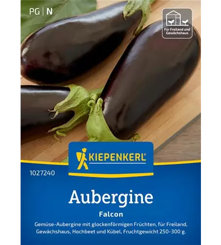 Aubergine Falcon F1