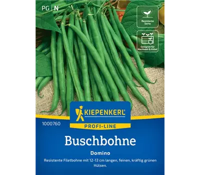 Buschbohne Domino