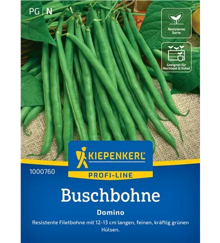 Buschbohne Domino