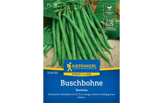 Buschbohne Domino