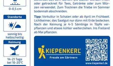 Bildvorschau