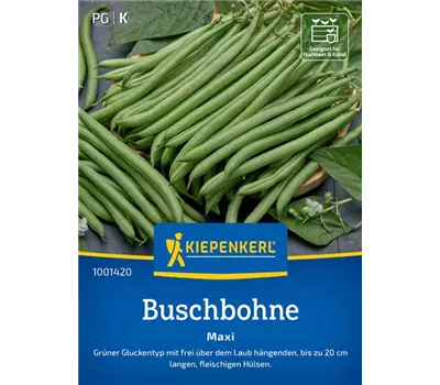 Buschbohnen Maxi