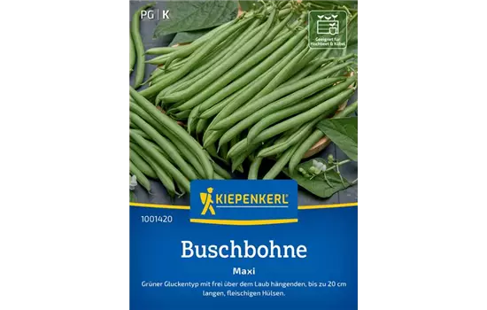 Buschbohnen Maxi