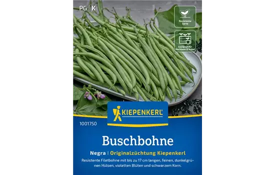 Buschbohnen Negra