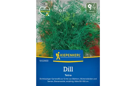 Dill (Tetra-Dill) einjährig