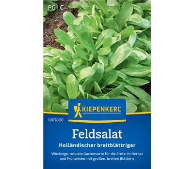 Feldsalat Holl. breitblättriger