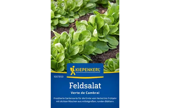 Feldsalat Verte de Cambrai