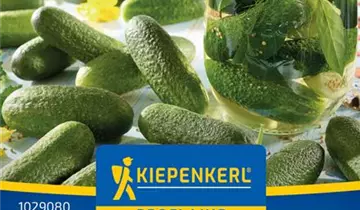 Bildvorschau