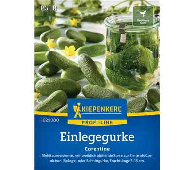 Gurken (Einlegegurken) Corentine, F1