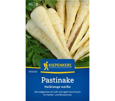 Pastinaken Halblange weiße