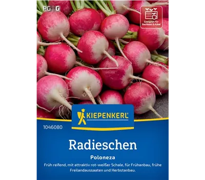 Radieschen Poloneza