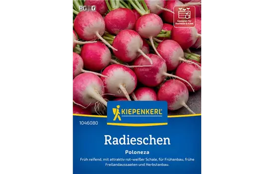 Radieschen Poloneza