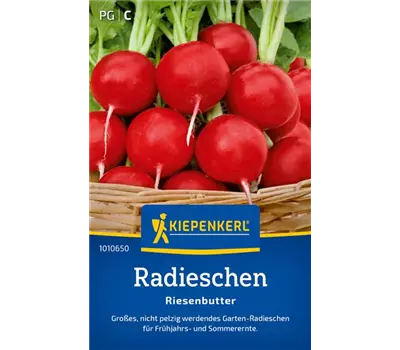 Radieschen Riesenbutter
