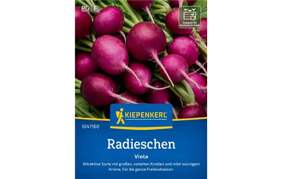 Radieschen Viola