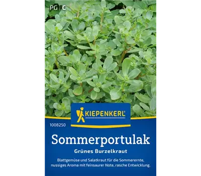 Sommerportulak