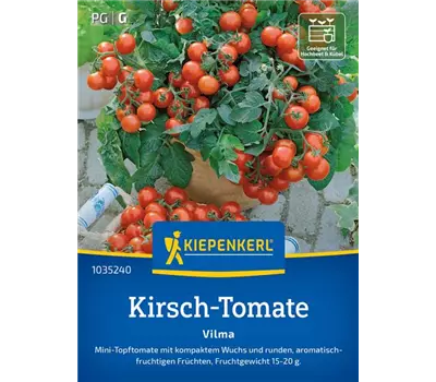 Tomaten (Balkontomaten) Vilma