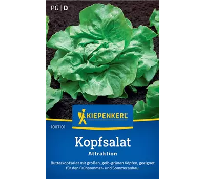 Kopfsalat Attractie