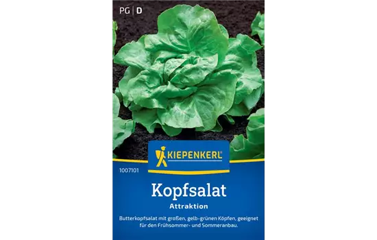 Kopfsalat Attractie