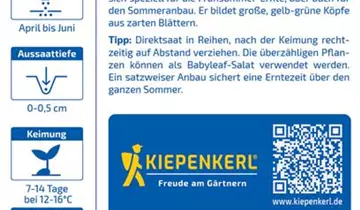 Bildvorschau