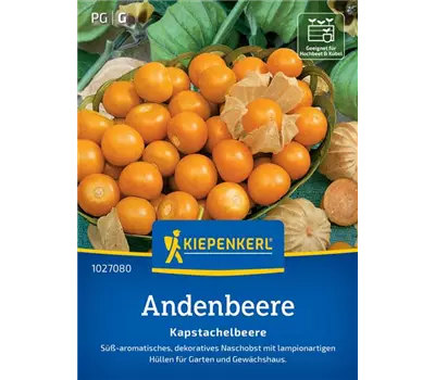 Andenbeere Kapstachelbeere