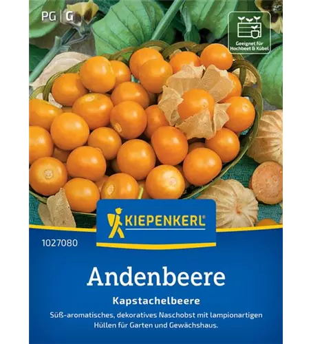 Andenbeere Kapstachelbeere