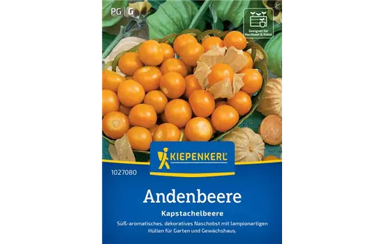Andenbeere Kapstachelbeere