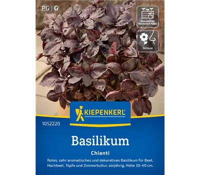 Basilikum Chianti rotblättrig, einjährig